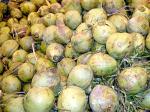 picture of coconuts in malaysia