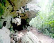 jebak puyuh caves