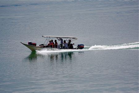 fast boat on a lake in malaysia