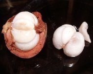 photo of mangosteen flesh