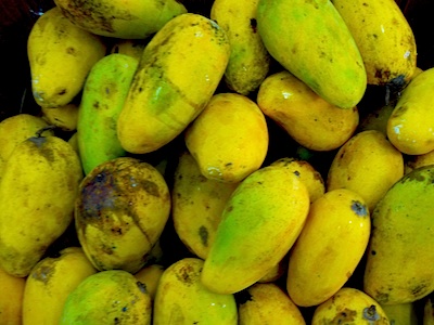 picture of mangoes found in malaysia