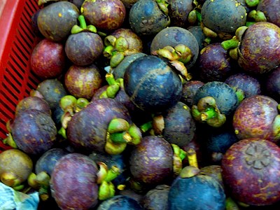 picture of mangosteen in malaysia