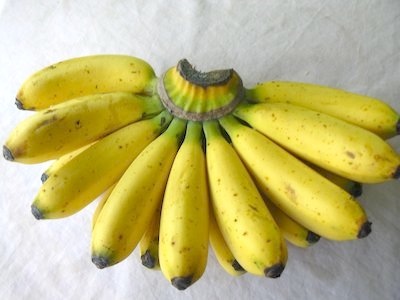 picture of banana (pisang berangan)