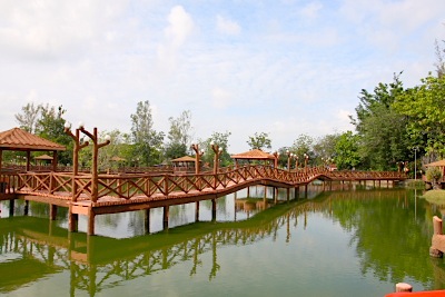 boardwalk at tasik melati in perlis, malaysia