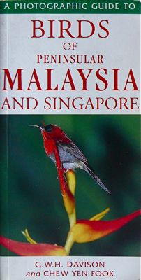 Best Books on Malaysian Birds