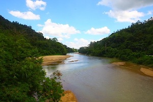 picture of malaysian river
