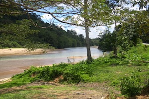  river photo